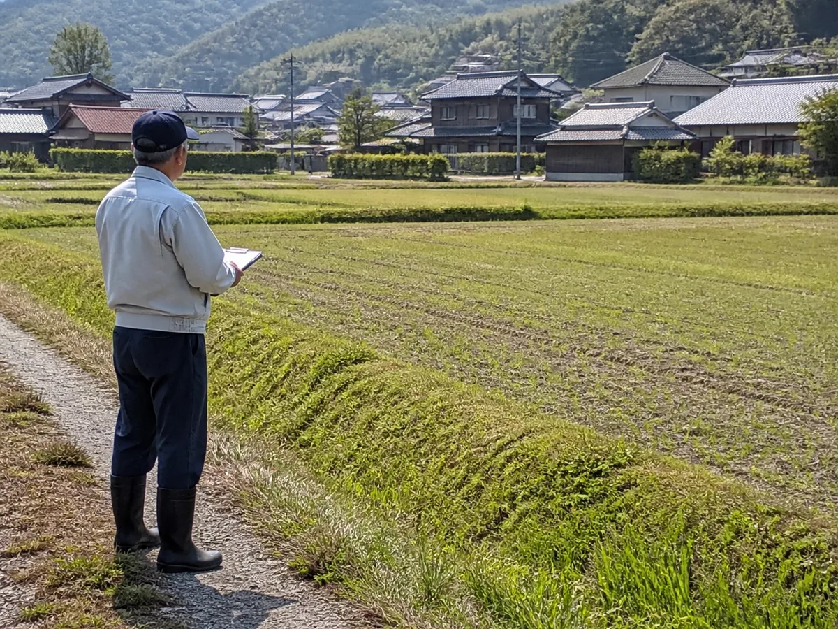 農地の状況を見回り確認するスタッフ