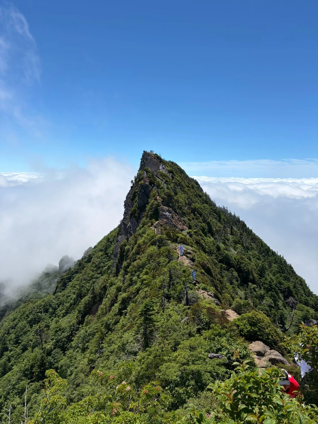 石鎚山の風景