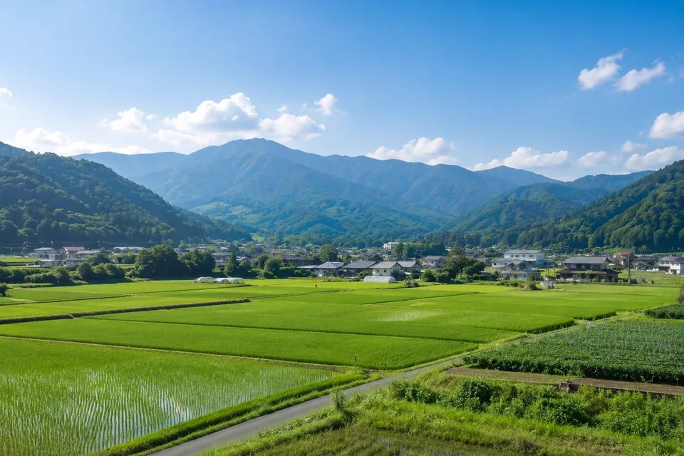 西条地域の田園